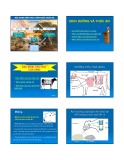 Bài giảng Chăn nuôi trâu bò: Chương 2
