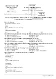 Đề thi lý thuyết Tin học bảng C2 tỉnh Kiên Giang năm 2015 - Mã đề 246