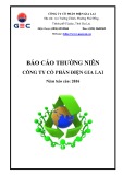 Báo cáo thường niên 2016: Công ty Cổ phần Điện Gia Lai