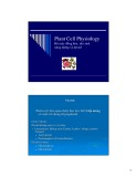 Bài giảng Sinh lý thực vật - Bài 3: Bộ máy đồng hóa, sản sinh năng lượng và dự trữ