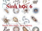 Bài giảng Sinh học 6 - Jang Juwang