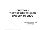 Lý thuyết tổ chức: Bài giảng Chương 3 của Nguyễn Duy Phương