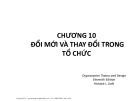 Bài giảng Lý thuyết tổ chức Chương 10: Nguyễn Duy Phương (Chi tiết)