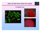 Bài giảng Vi sinh thực phẩm: Chương 6 - Trần Thị Huyền