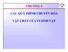 Bài giảng Vi sinh thực phẩm: Chương 4 - Trần Thị Huyền