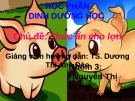Bài giảng Dinh dưỡng học - Bài: Thức ăn cho lợn