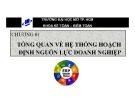 Bài giảng Hệ thống hoạch định nguồn lực doanh nghiệp: Chương 1 - Đại học Mở TP. HCM