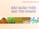 Bài giảng Công nghệ bảo quản - Bài: Bảo quản thóc sau thu hoach