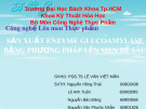 Sản xuất enzyme glucoamylase bằng phương pháp lên men bề sâu - Bài giảng Công nghệ lên men