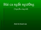 Bài ca ngất ngưởng: Bài giảng Ngữ văn chi tiết