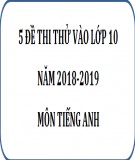 5 Đề thi thử vào lớp 10 môn tiếng Anh năm 2018-2019 có đáp án, chuẩn nhất