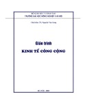 Giáo trình Nền kinh tế công cộng [mới nhất]