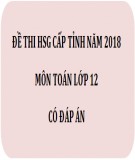 7 Đề thi chọn HSG cấp tỉnh Toán 12 năm 2017-2018 có đáp án