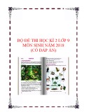 Bộ đề thi học kỳ 2 môn Sinh lớp 9 năm 2017-2018 có đáp án, chuẩn nhất