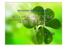 Ba cống hiến vĩ đại của Các Mác: Bài giảng Ngữ văn 11