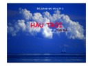 Bài giảng Ngữ văn 11: Hầu trời (Chuẩn nhất)