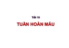 Bài giảng Tuần hoàn máu