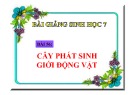 Cây phát sinh trong giới động vật: Bài giảng Sinh học 7 (Bài 56)