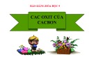 Bài giảng Hóa học 9: Tổng hợp kiến thức về các oxit của cacbon