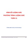 Hàm số lượng giác và phương trình lượng giác Toán 11