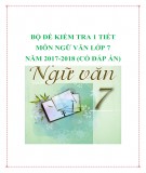 Bộ đề kiểm tra Ngữ Văn lớp 7 năm 2017-2018 (Có đáp án) - Tuyển chọn 1 tiết