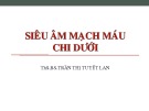 Bài giảng Siêu âm mạch máu chi dưới - ThS.BS Trần Thị Tuyết Lan