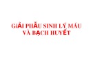 Bài giảng Giải phẫu sinh lý máu và bạch huyết
