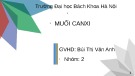Bài Thuyết Trình Muối Canxi: