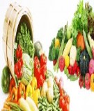 Giáo Trình Dinh Dưỡng và An Toàn Thực Phẩm: Phần 1 [Đầy Đủ, Chi Tiết]