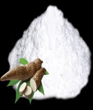 Giáo trình Khai thác tinh bột và các sản phẩm từ tinh bột: Phần 2 (Full)