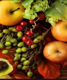 Giáo trình Quản lý và kiểm tra chất lượng thực phẩm: Phần 1