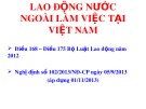 Bài giảng về Lao động nước ngoài làm việc tại Việt Nam (Điều 168 - 175 Bộ luật Lao động 2012) chuẩn nhất