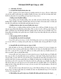 Mẫu Mô hình ESOP tại công ty ABC