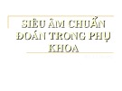 Bài giảng Siêu âm chuẩn đoán trong phụ khoa - BS. Lê Hoàng