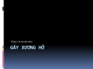 Bài giảng Gãy xương hở - Tăng Hà Nam Anh