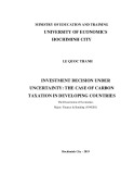 The Dissertation of Economics: Investment decision under uncertainty - The case of carbon taxation in developing countries