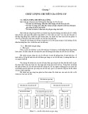 Bài giảng Cơ sở cắt gọt kim loại - Chương 7: Chất lượng chi tiết gia công cơ