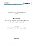Báo cáo số 2 - Báo cáo so sánh kinh nghiệm trên thế giới về quản lý vốn nhà nước (Dành cho: Ngân hàng phát triển Châu Á và Bộ Tài chính)