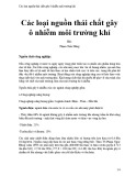 Các loại nguồn thải chất gây ô nhiễm môi trường khí [nêu chi tiết/ đầy đủ/ chuẩn nhất]