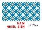Bài giảng Toán tài chính: Hàm nhiều biến (Chương 3) - Kiến thức trọng tâm