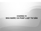 Lý thuyết Nhà nước và Pháp luật Tư sản: Bài giảng Chương 7