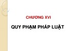 Quy phạm pháp luật: Bài giảng Lý luận nhà nước và pháp luật Chương 16