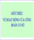 Bài giảng Công đoàn cơ sở: Giới thiệu hoạt động chi tiết