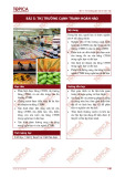 Bài giảng Kinh tế vi mô - Bài 5: Thị trường cạnh tranh hoàn hảo