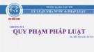 Bài giảng Lý luận nhà nước và pháp luật: Chương 26 của TS. Bùi Quang Xuân