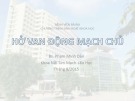 Bài giảng Hở van động mạch chủ - BS. Phạm Minh Dân