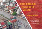 Chỉ số chống chịu đô thị Việt Nam: Báo cáo chứng minh khái niệm