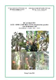 Dự án bảo tồn thủy tùng (Glyptostrobus Pensilis) tại Đăk Lăk: Sinh cảnh và giai đoạn 2011-2015