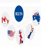 IELTS Academic Reading 17: Hướng dẫn làm bài, kinh nghiệm và tài liệu ôn thi