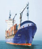 Giáo trình Bảo hiểm hàng hải Đỗ Minh Cường: Kinh nghiệm và hướng dẫn